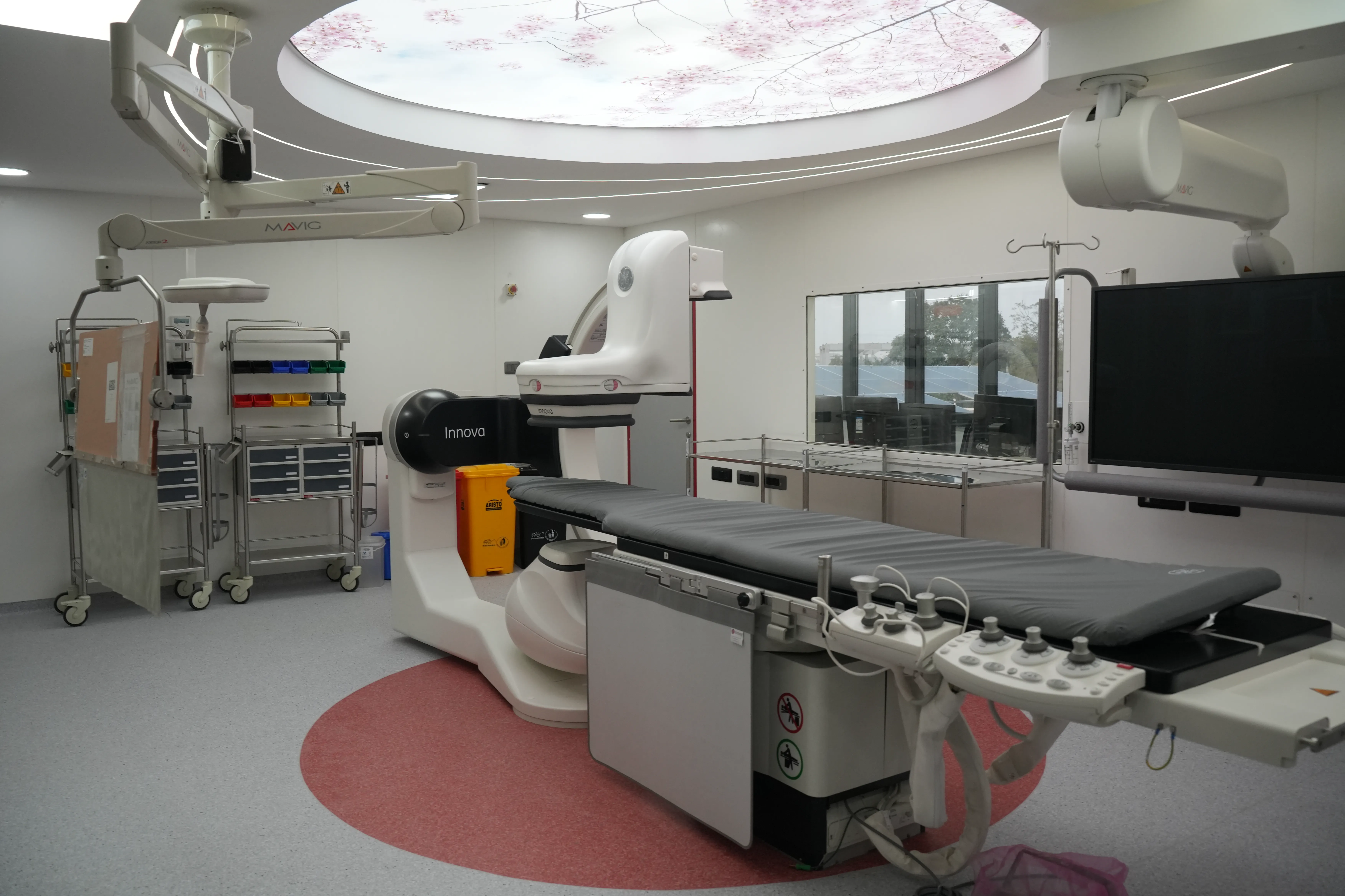 AI Based Cathlab